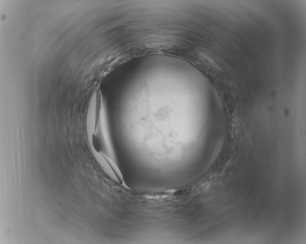 X0000053090917200508012028