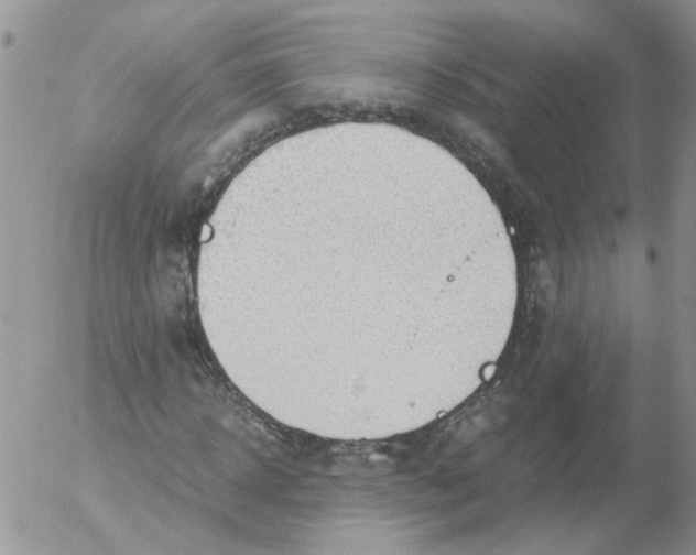 X0000053090918200508012028