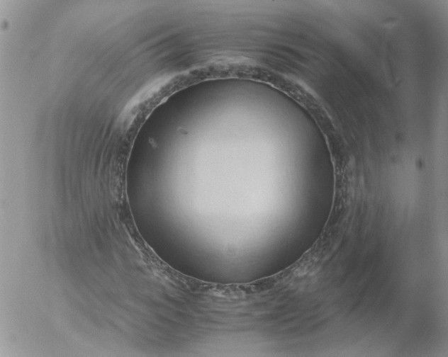 X0000053090919200508012028