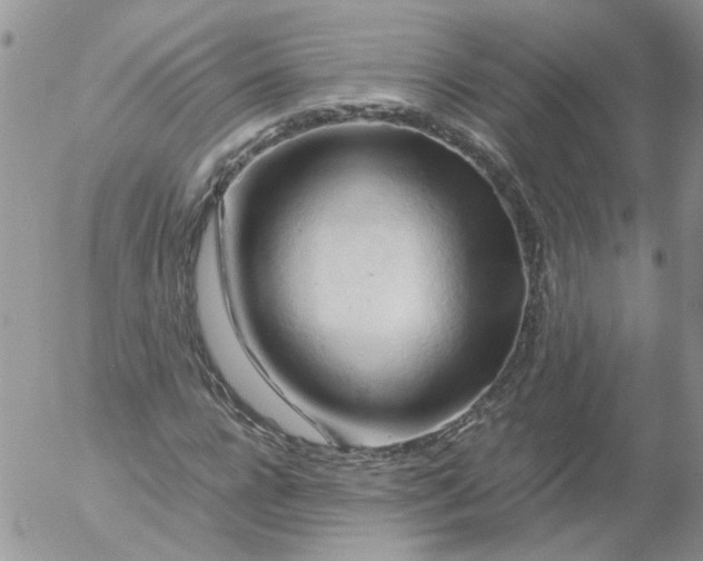 X0000053090920200508012028