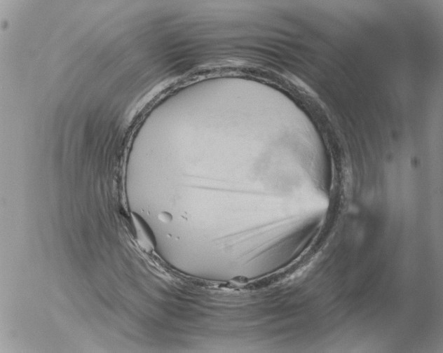 X0000053090921200508012028