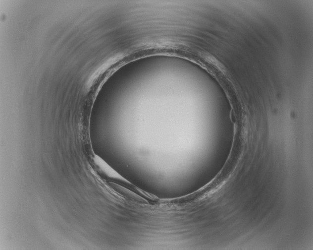 X0000053090922200508012028