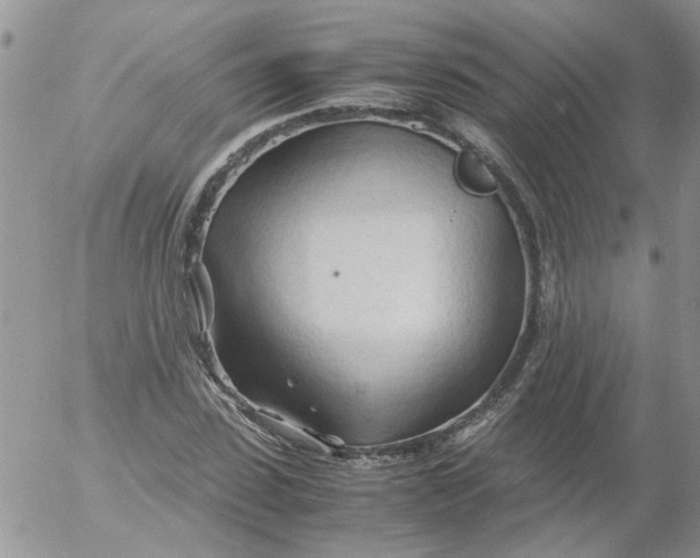 X0000053090923200508012028