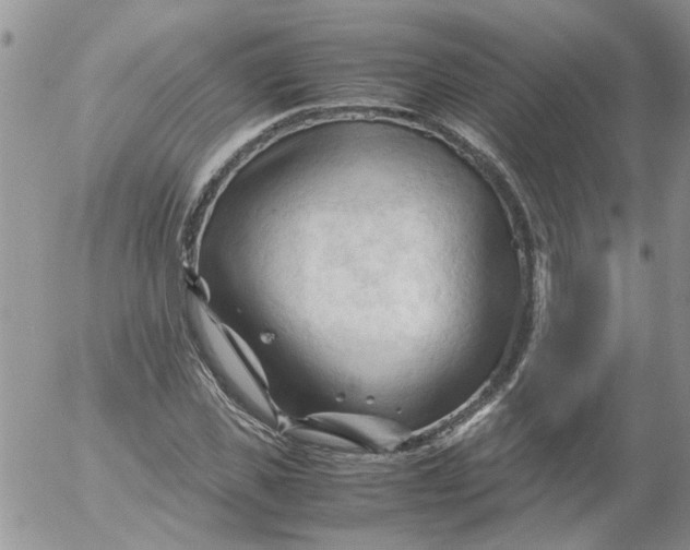 X0000053090925200508012028