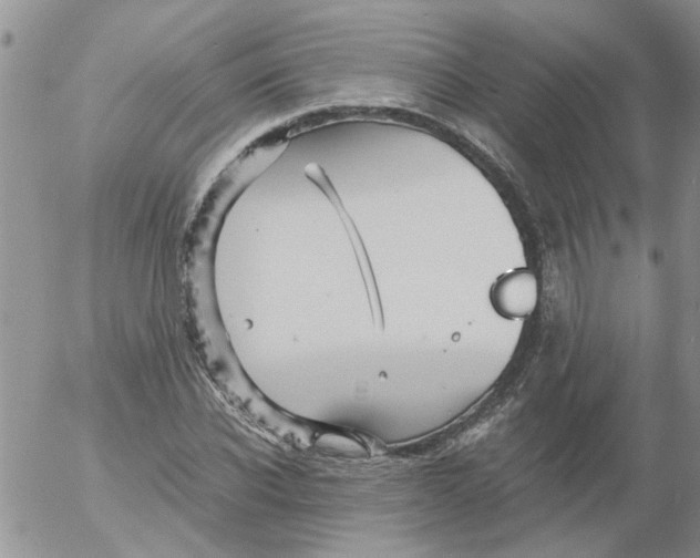 X0000053090926200508012028