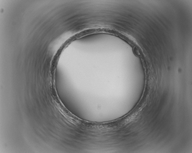 X0000053090927200508012028