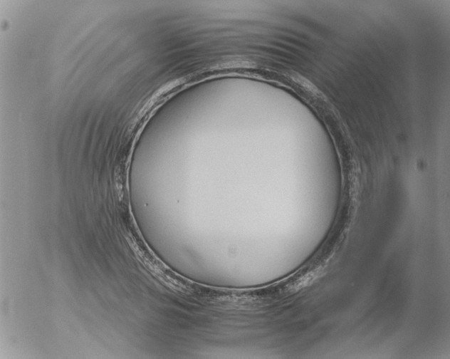 X0000053090929200508012028