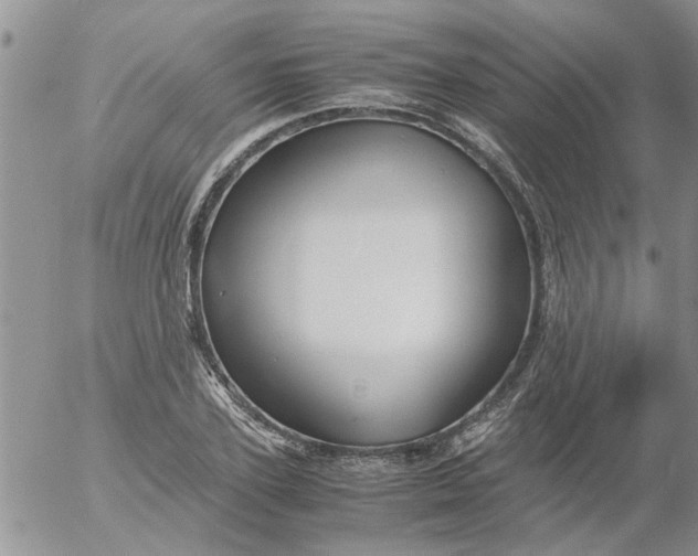 X0000053090931200508012028