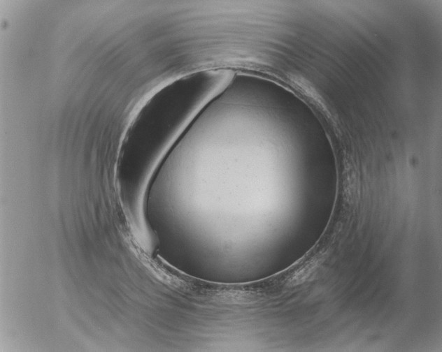 X0000053090932200508012028