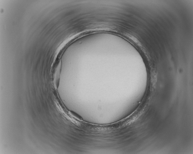 X0000053090933200508012028