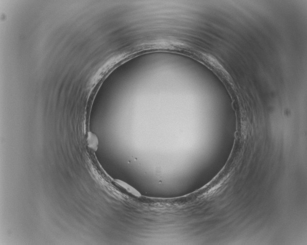 X0000053090938200508012029