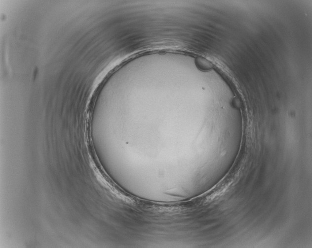 X0000053090941200508012029