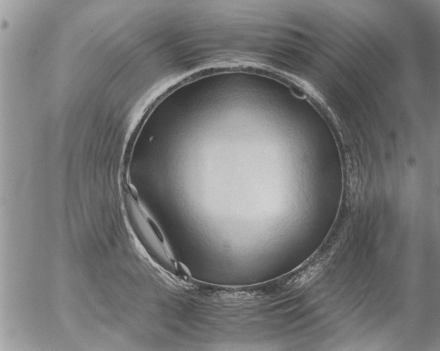 X0000053090943200508012029