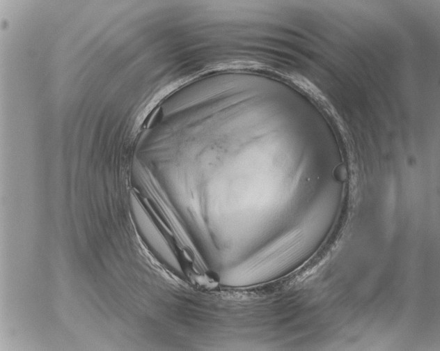 X0000053090945200508012029