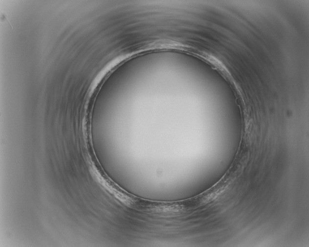 X0000053090947200508012029