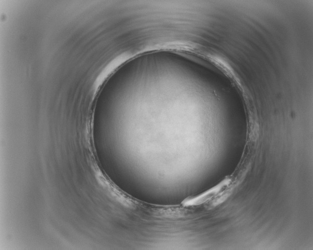 X0000053090952200508012029