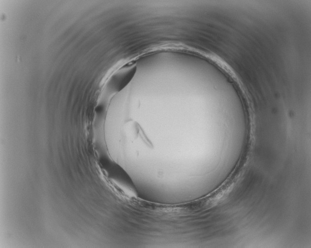 X0000053090953200508012029