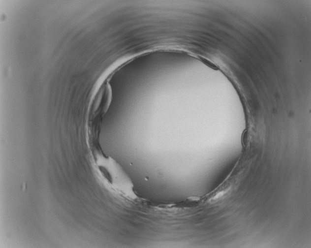 X0000053090955200508012029