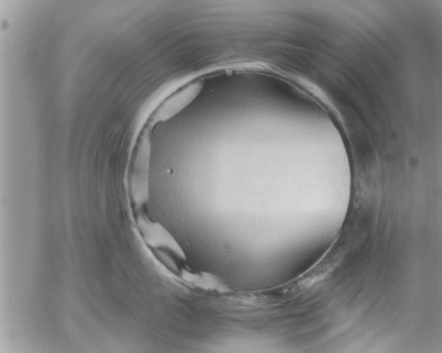 X0000053090959200508012029