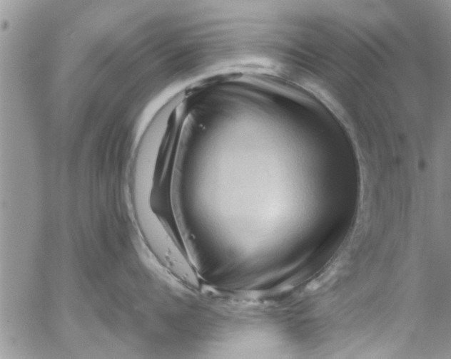 X0000053090960200508012029