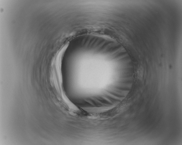 X0000053090961200508012028