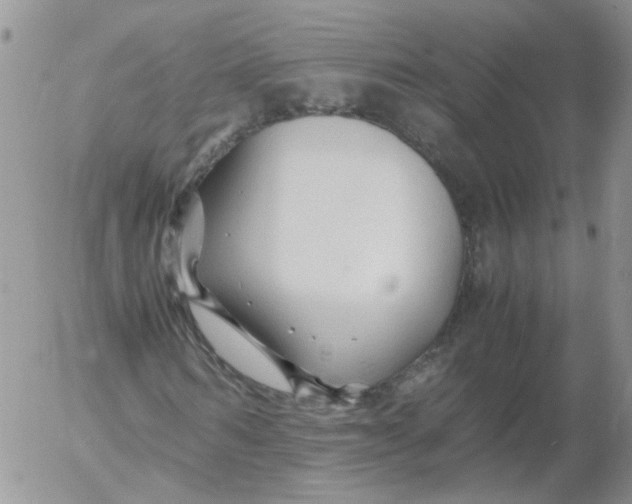 X0000053090962200508012028