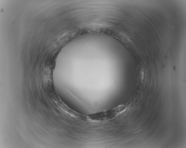 X0000053090964200508012028