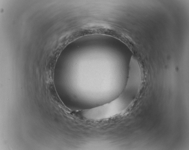 X0000053090965200508012028