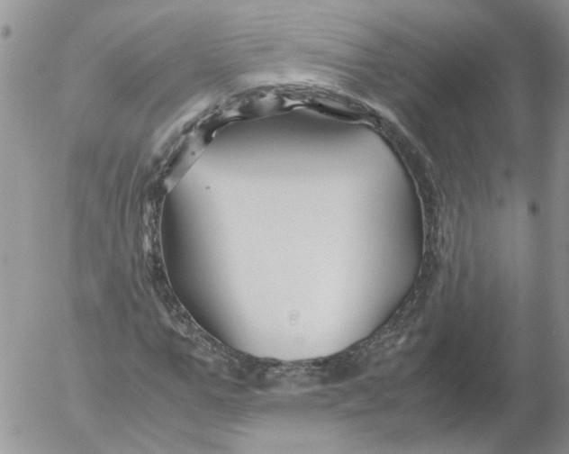 X0000053090967200508012028