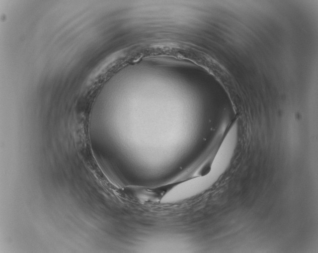 X0000053090968200508012028