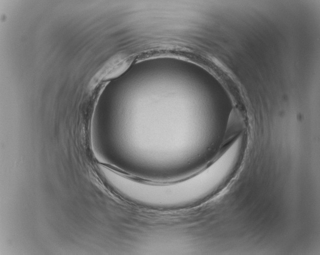 X0000053090969200508012028