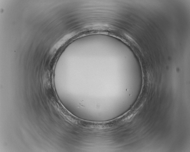 X0000053090970200508012028