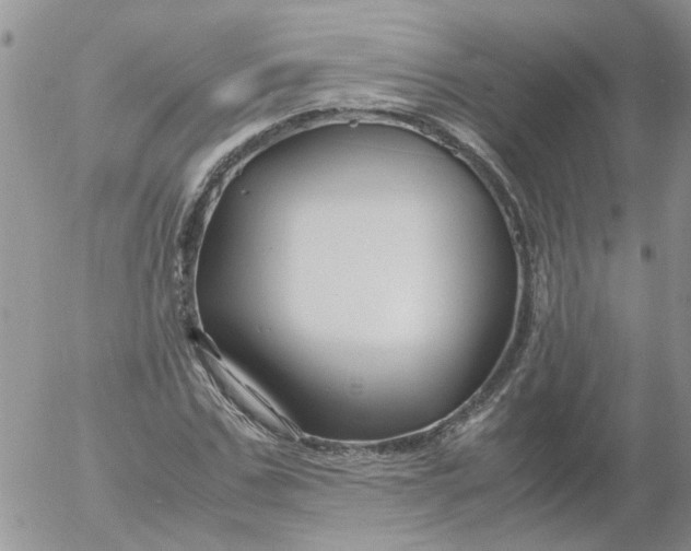 X0000053090971200508012028