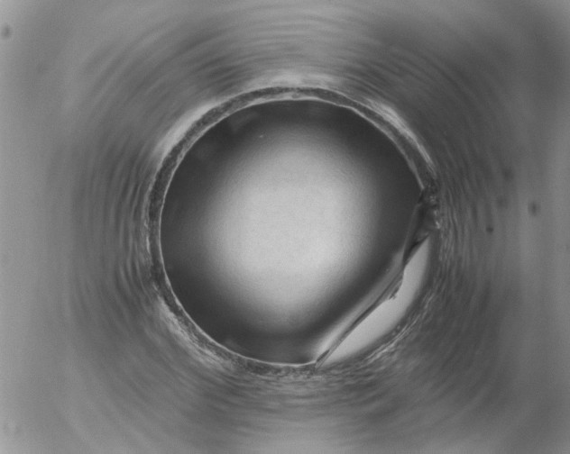 X0000053090972200508012028