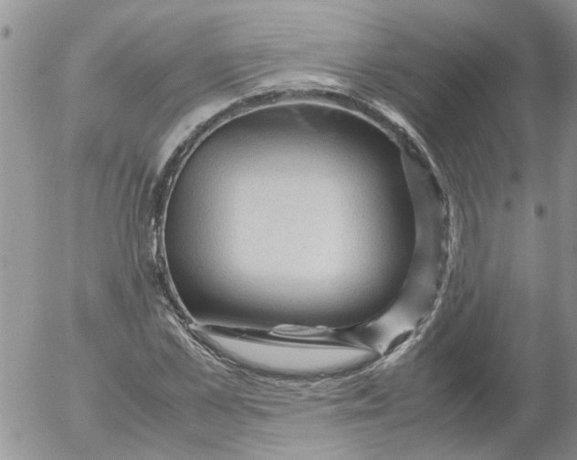 X0000053090973200508012028