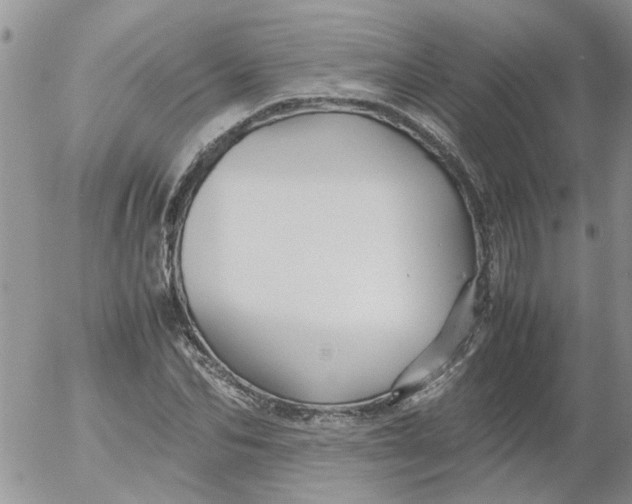 X0000053090974200508012028