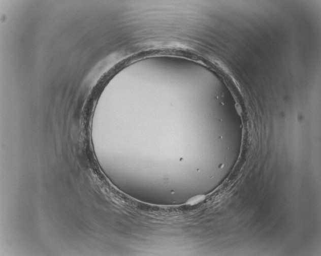 X0000053090975200508012028