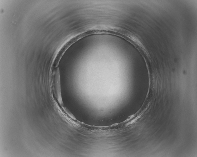 X0000053090976200508012028