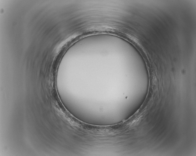 X0000053090979200508012028