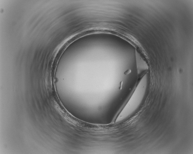 X0000053090980200508012028