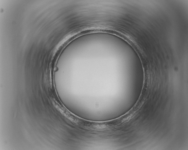 X0000053090982200508012028