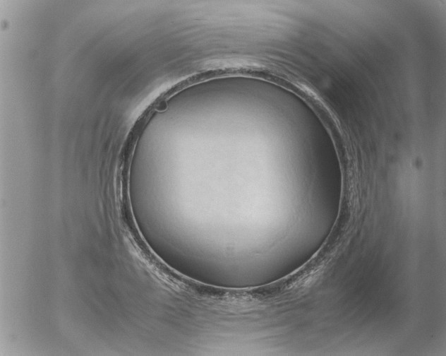 X0000053090983200508012028