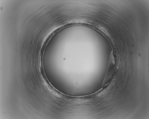 X0000053090984200508012028