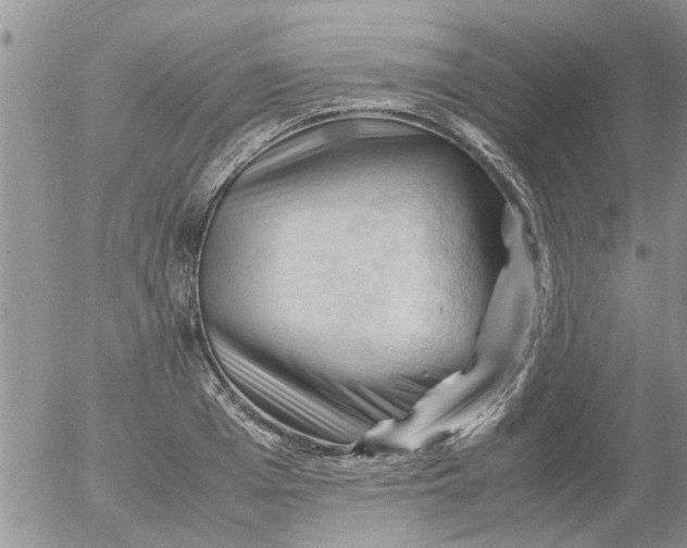 X0000053090985200508012028