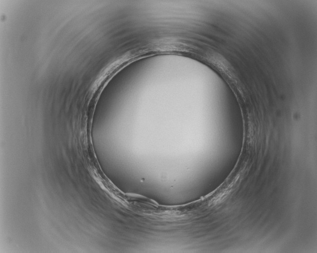 X0000053090986200508012028