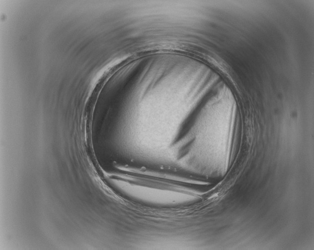 X0000053090987200508012028