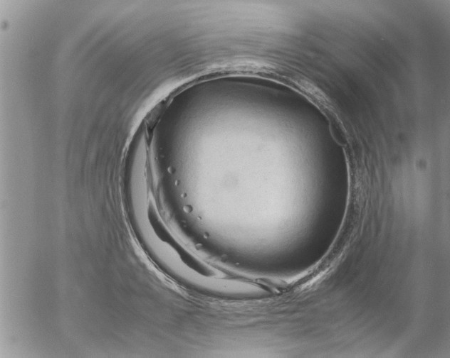 X0000053090989200508012028