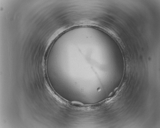 X0000053090990200508012028