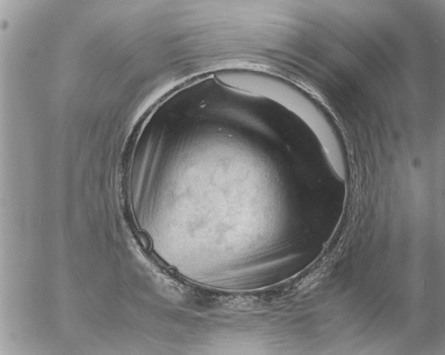 X0000053090991200508012028