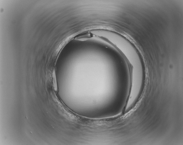 X0000053090993200508012028